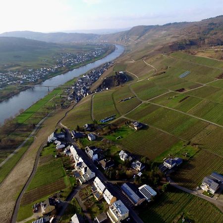 Moselie Ferienwohnung Kinheim Mosel Екстериор снимка