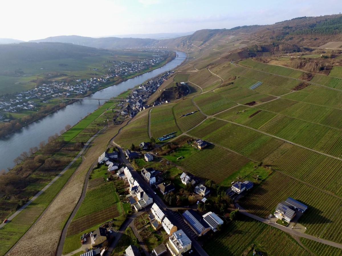 Moselie Ferienwohnung Kinheim Mosel Екстериор снимка