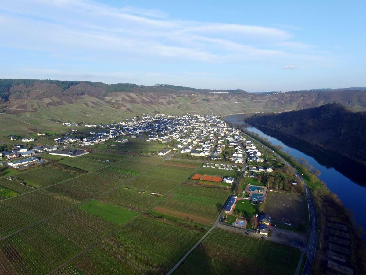 Moselie Ferienwohnung Kinheim Mosel Екстериор снимка